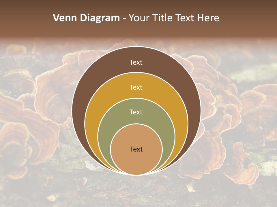 Wet Medicinal Mushroom Chinese Medicine PowerPoint Template