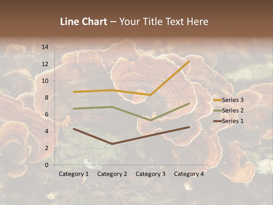 Wet Medicinal Mushroom Chinese Medicine PowerPoint Template