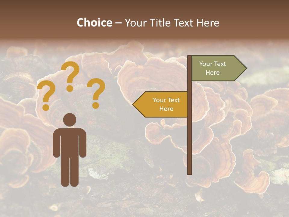 Wet Medicinal Mushroom Chinese Medicine PowerPoint Template