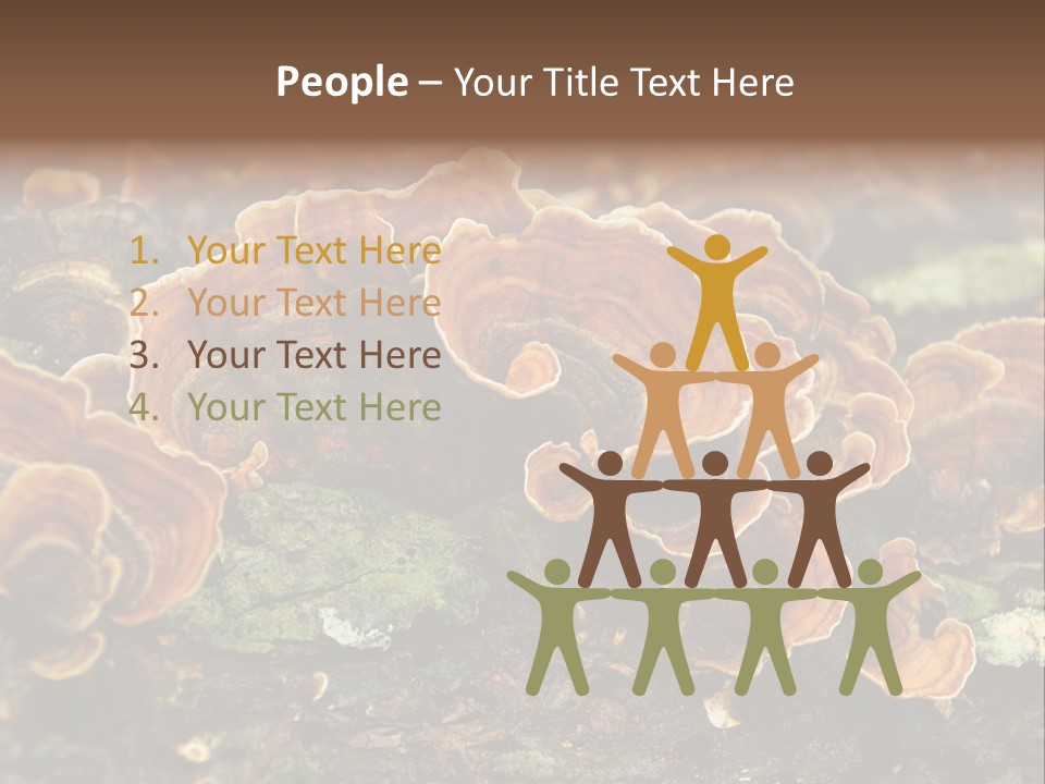Wet Medicinal Mushroom Chinese Medicine PowerPoint Template