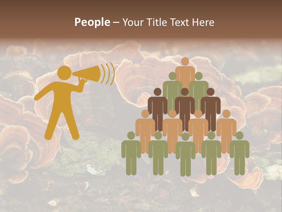 Wet Medicinal Mushroom Chinese Medicine PowerPoint Template