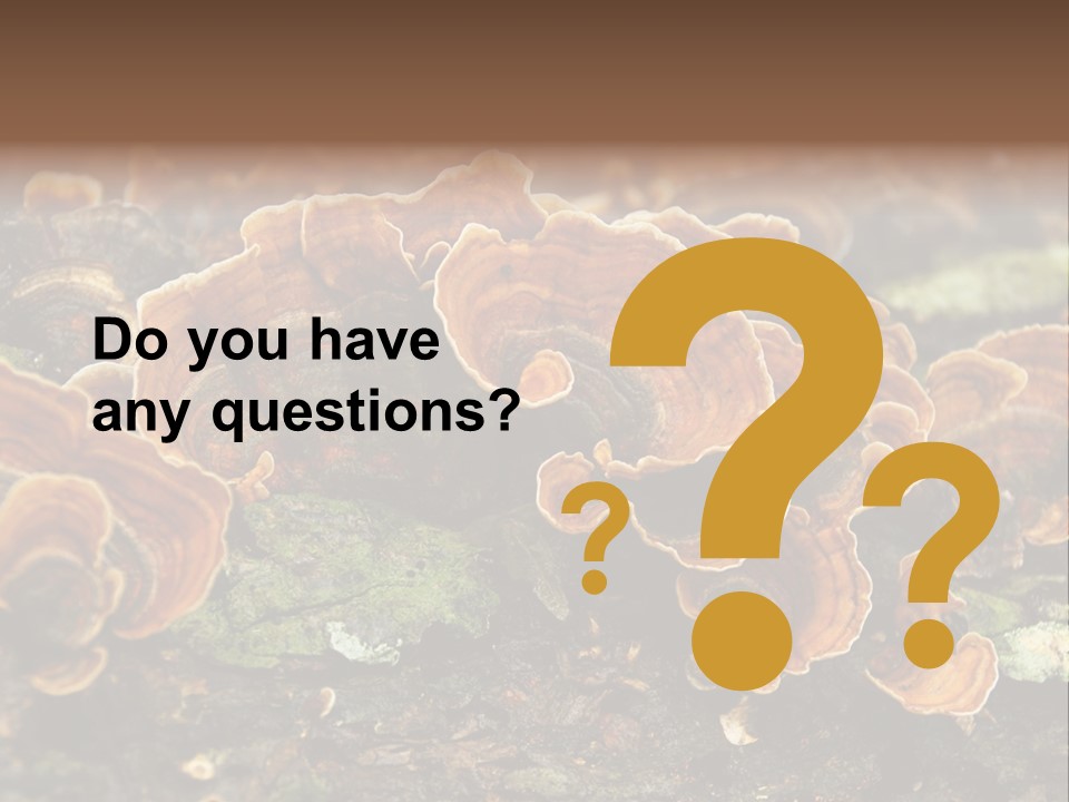 Wet Medicinal Mushroom Chinese Medicine PowerPoint Template