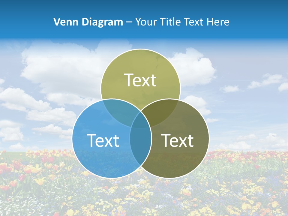 Colorful Sunny Blue PowerPoint Template