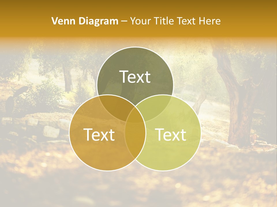 Rough Design Organic PowerPoint Template