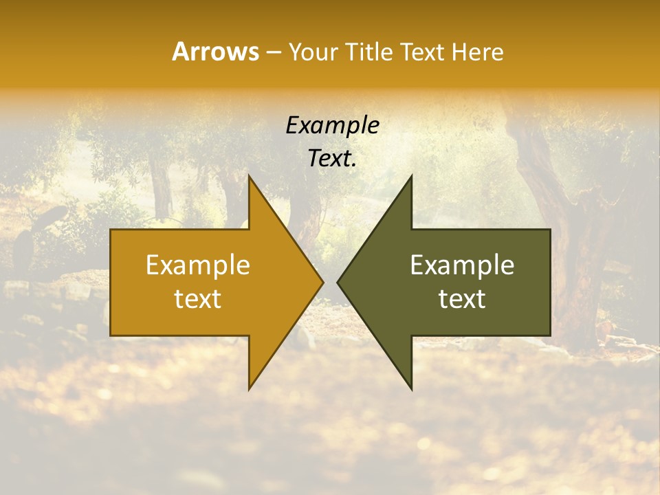 Rough Design Organic PowerPoint Template