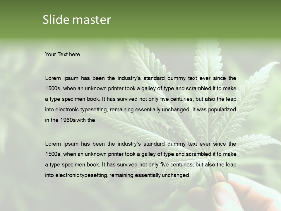 Herb Relax Sun PowerPoint Template