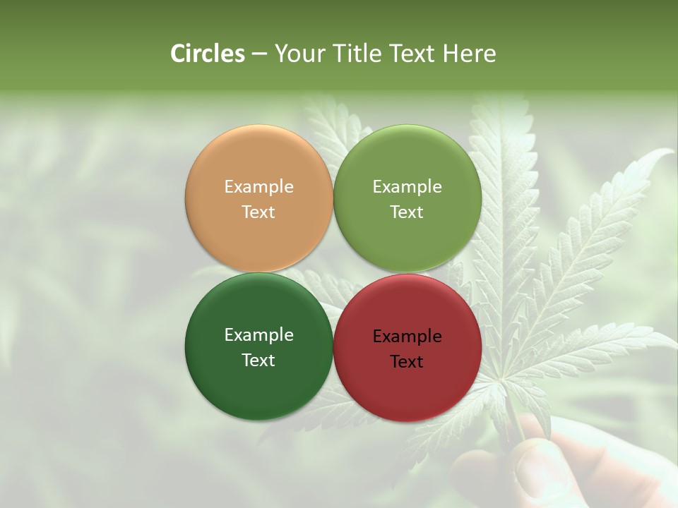 Herb Relax Sun PowerPoint Template