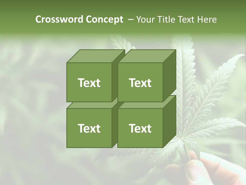 Herb Relax Sun PowerPoint Template