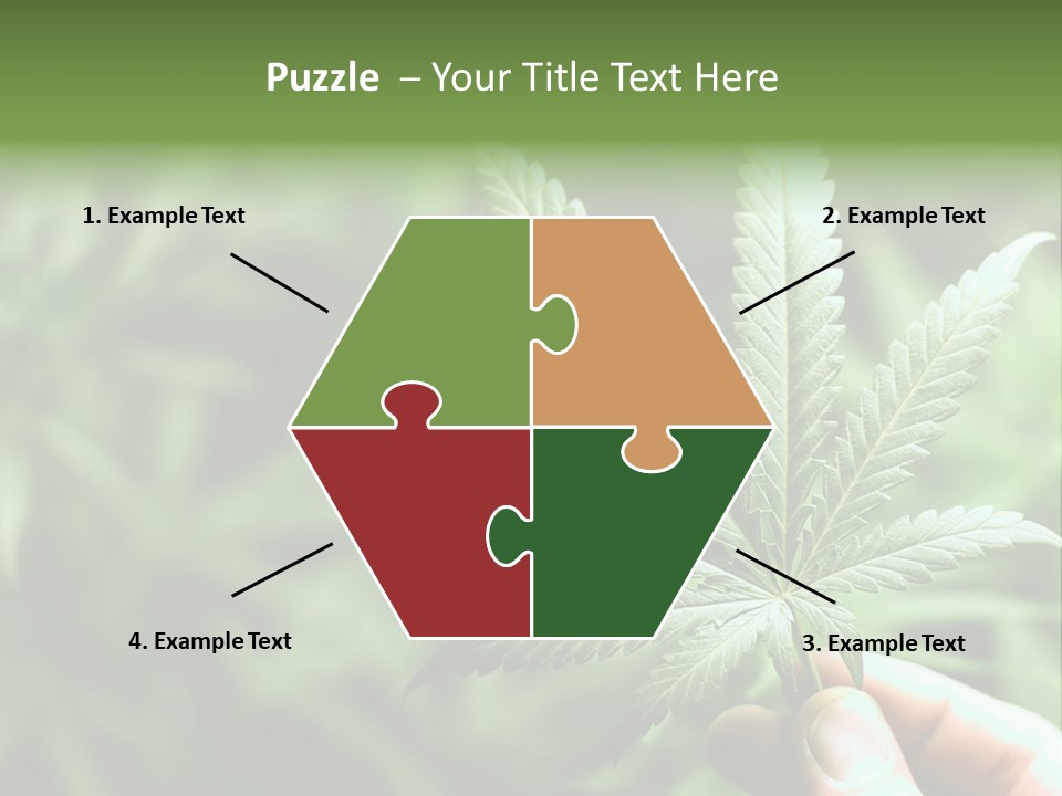 Herb Relax Sun PowerPoint Template