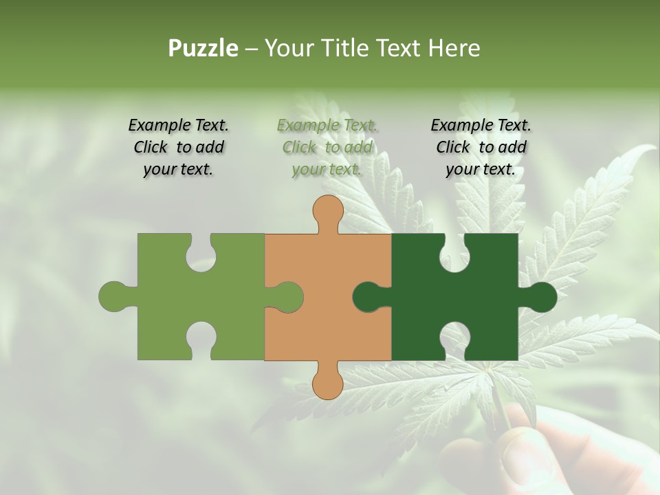 Herb Relax Sun PowerPoint Template