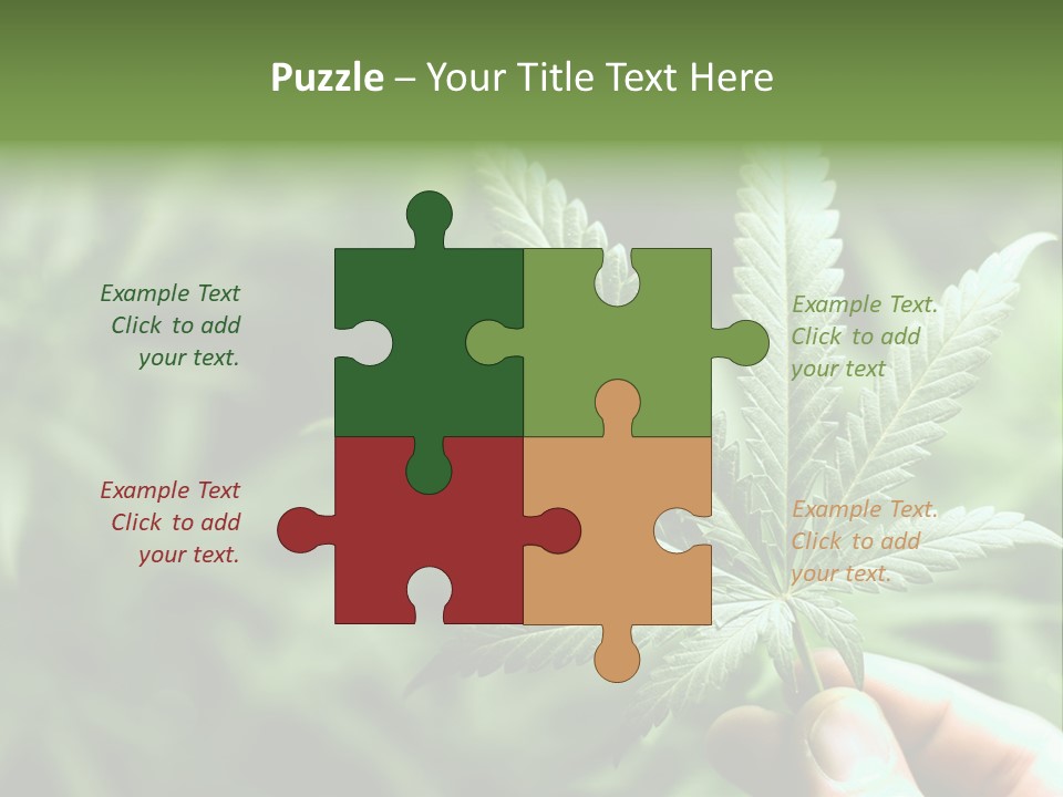 Herb Relax Sun PowerPoint Template