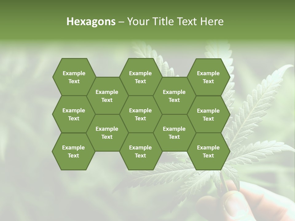 Herb Relax Sun PowerPoint Template