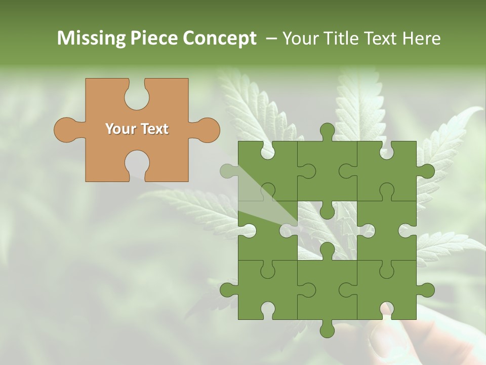 Herb Relax Sun PowerPoint Template