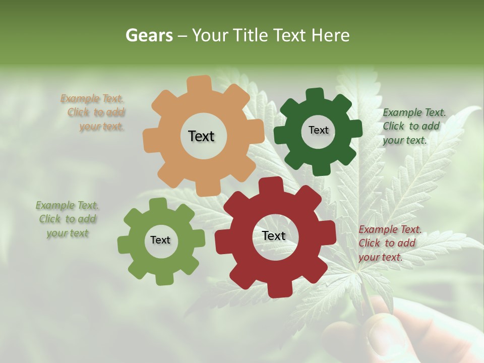 Herb Relax Sun PowerPoint Template