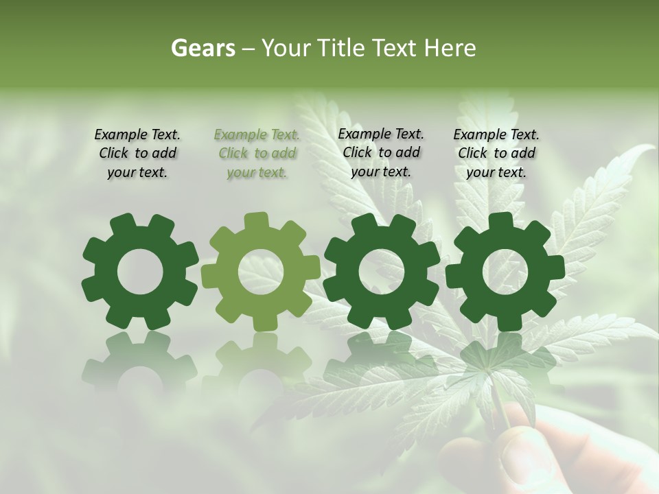 Herb Relax Sun PowerPoint Template