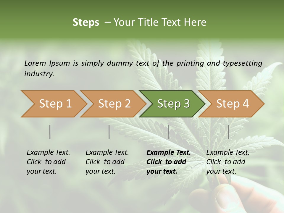 Herb Relax Sun PowerPoint Template