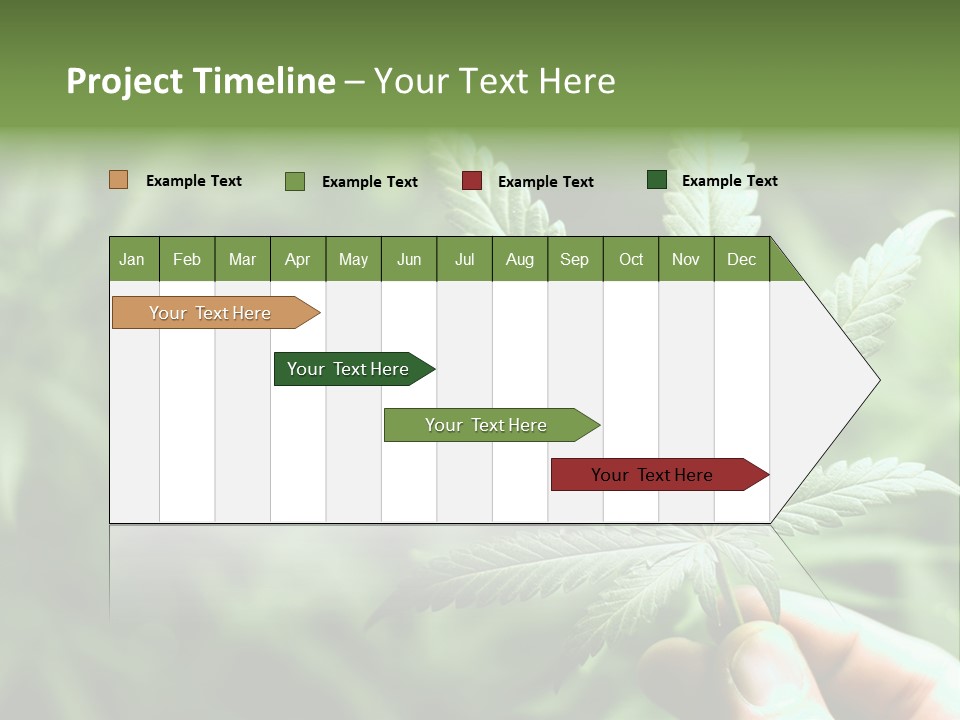 Herb Relax Sun PowerPoint Template