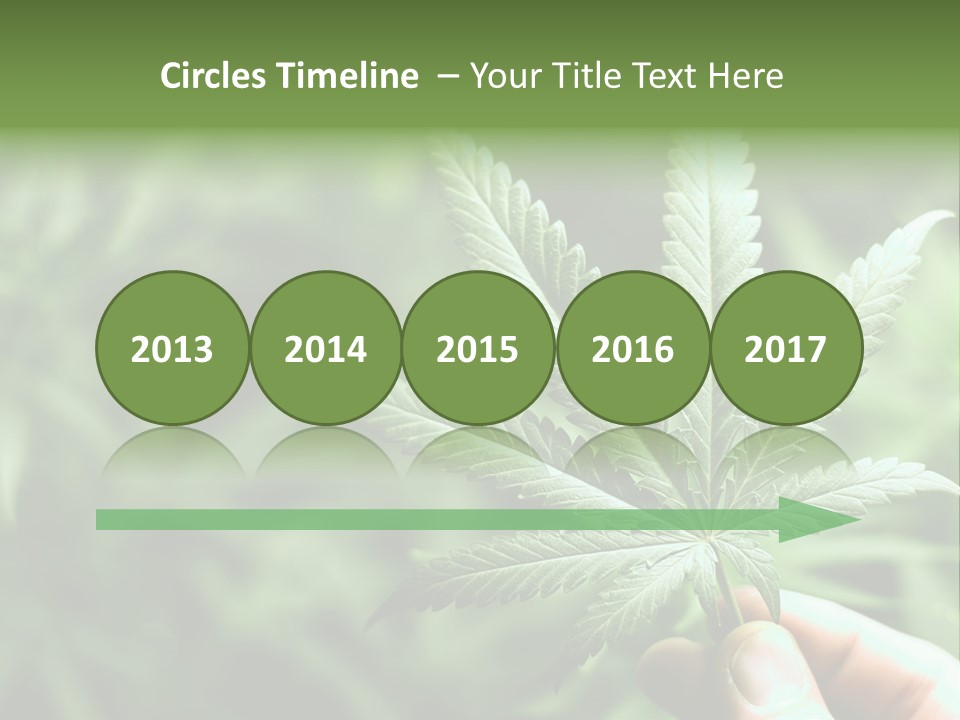 Herb Relax Sun PowerPoint Template