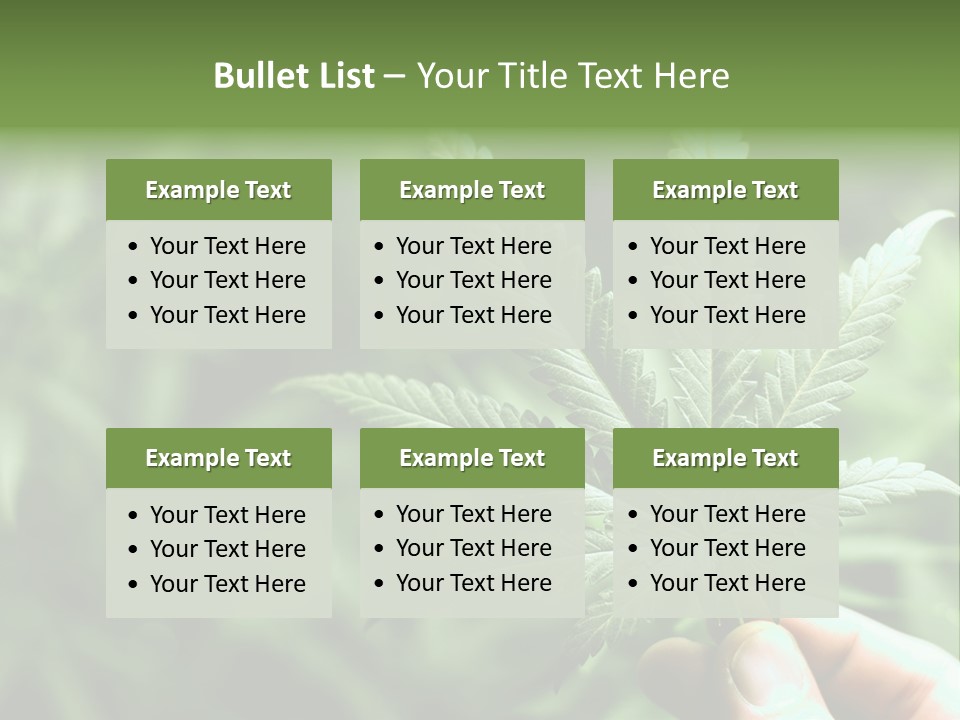 Herb Relax Sun PowerPoint Template