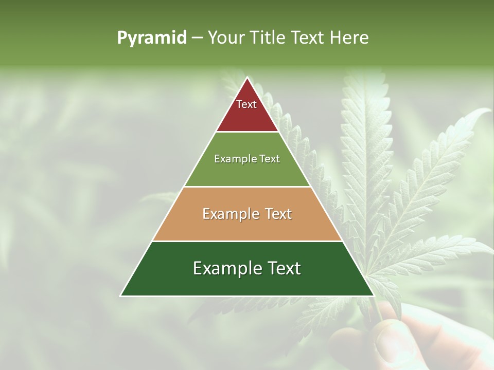 Herb Relax Sun PowerPoint Template