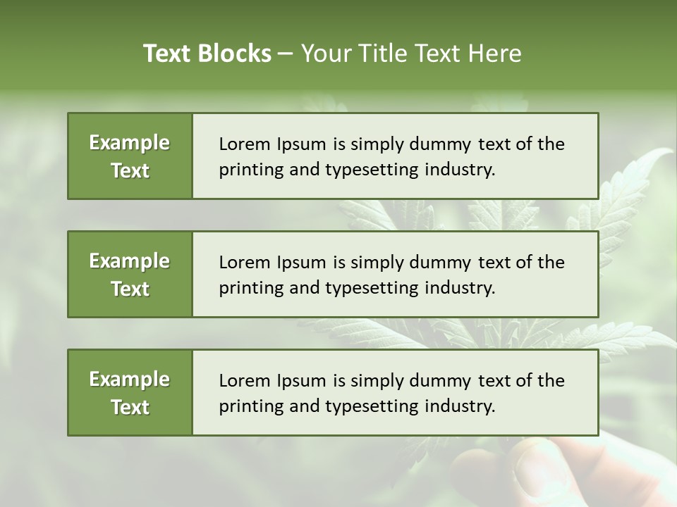 Herb Relax Sun PowerPoint Template