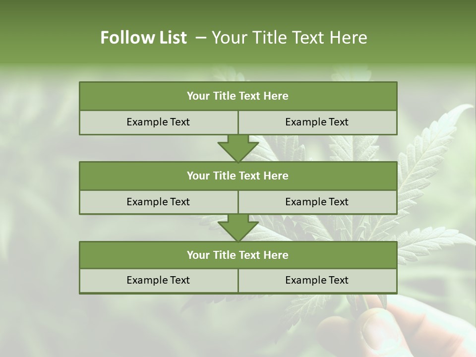 Herb Relax Sun PowerPoint Template