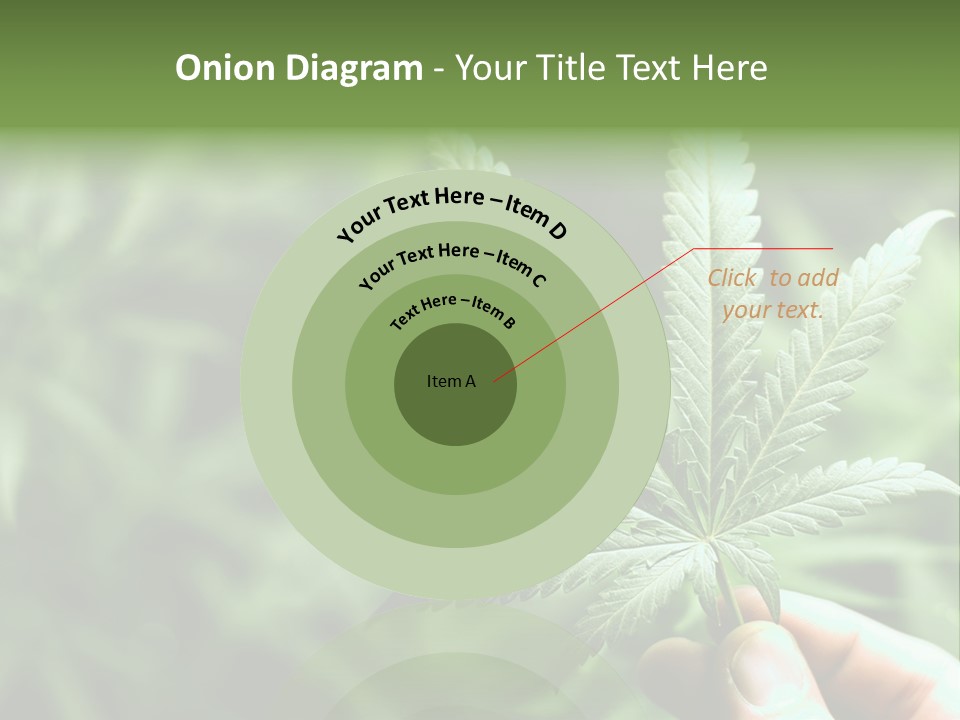 Herb Relax Sun PowerPoint Template