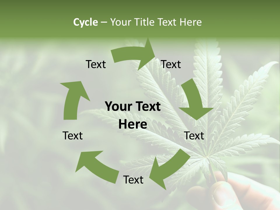 Herb Relax Sun PowerPoint Template