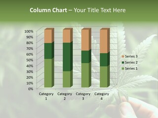 Herb Relax Sun PowerPoint Template