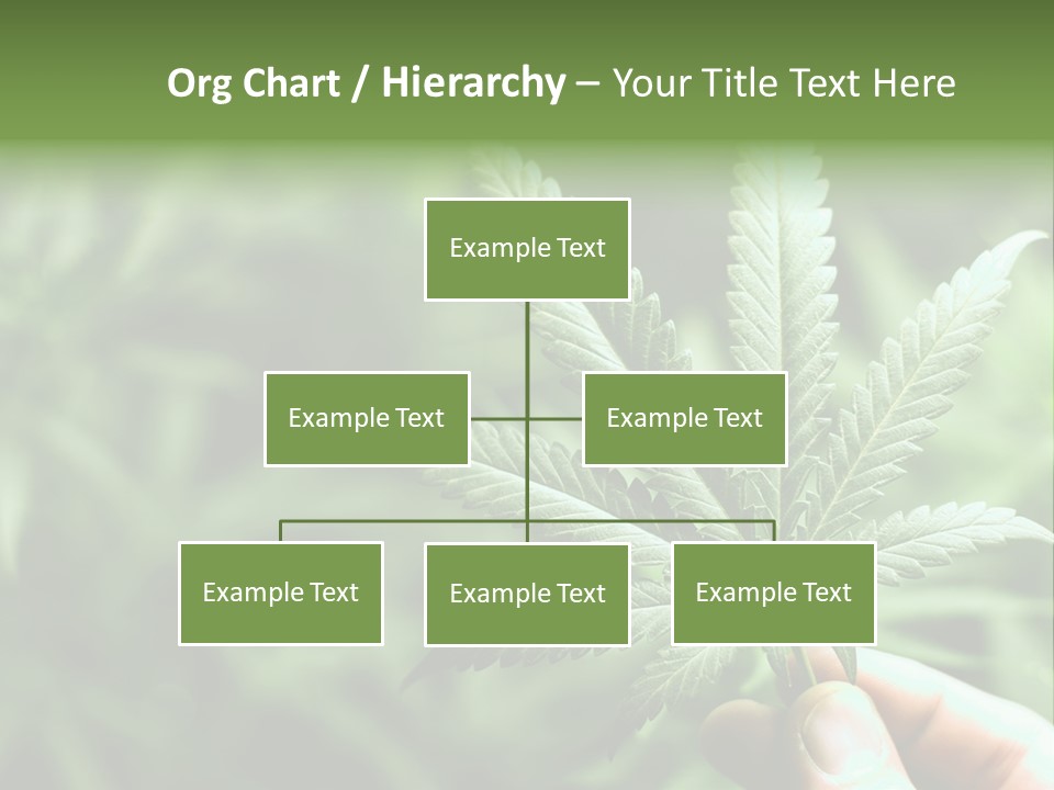 Herb Relax Sun PowerPoint Template