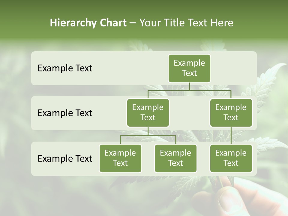 Herb Relax Sun PowerPoint Template