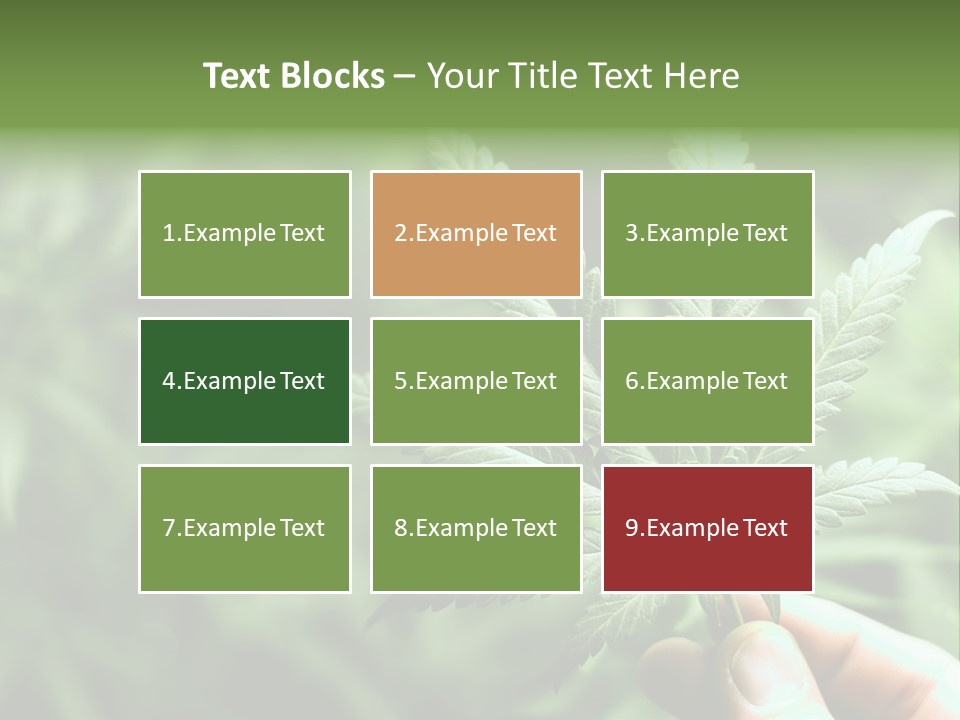 Herb Relax Sun PowerPoint Template