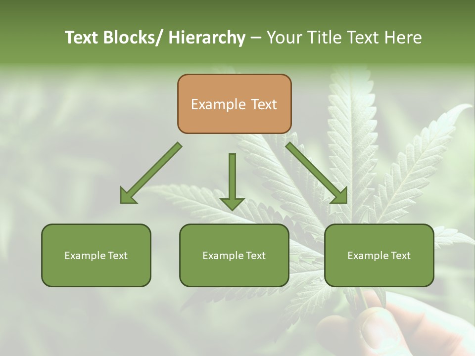 Herb Relax Sun PowerPoint Template