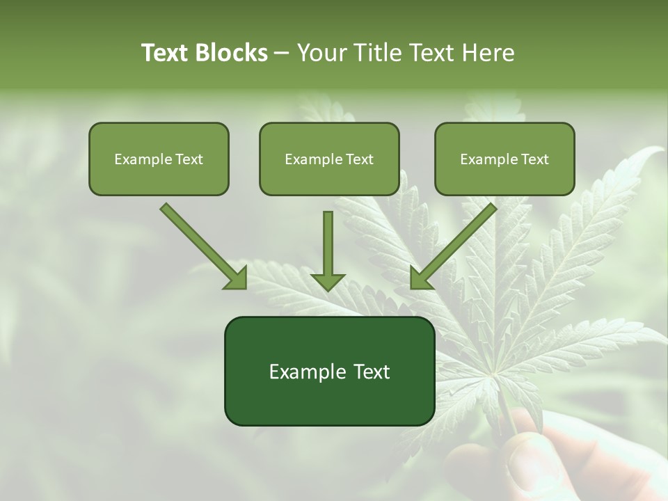 Herb Relax Sun PowerPoint Template
