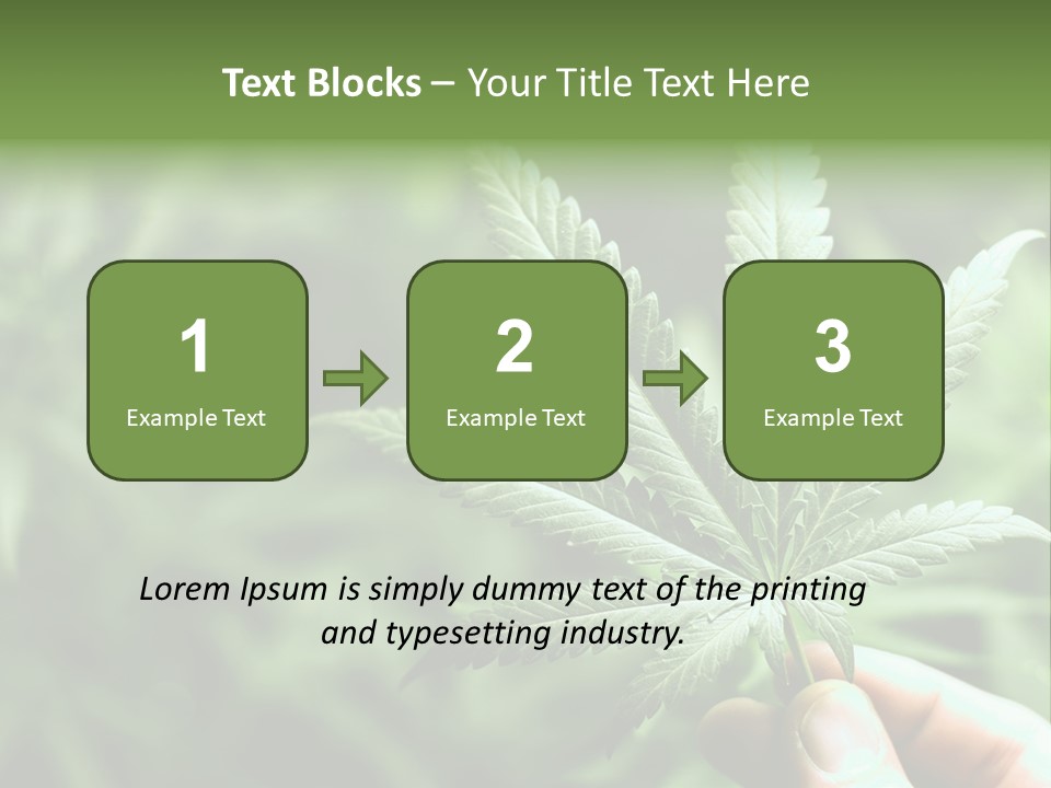 Herb Relax Sun PowerPoint Template