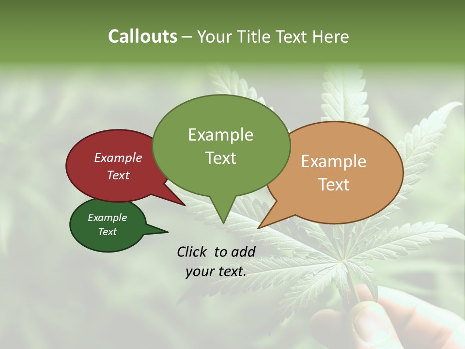 Herb Relax Sun PowerPoint Template