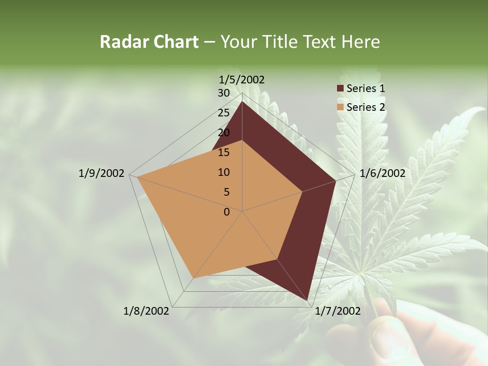 Herb Relax Sun PowerPoint Template