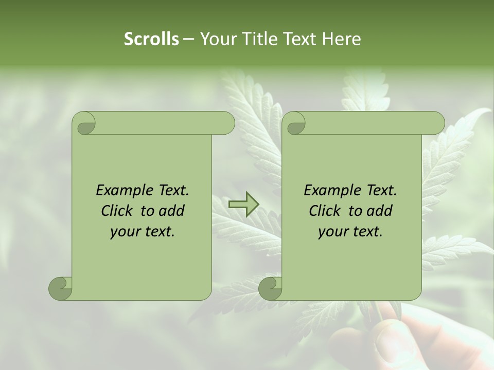 Herb Relax Sun PowerPoint Template