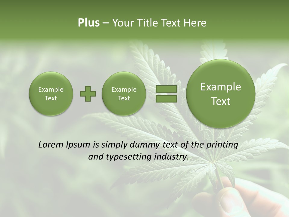 Herb Relax Sun PowerPoint Template