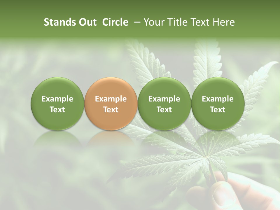 Herb Relax Sun PowerPoint Template