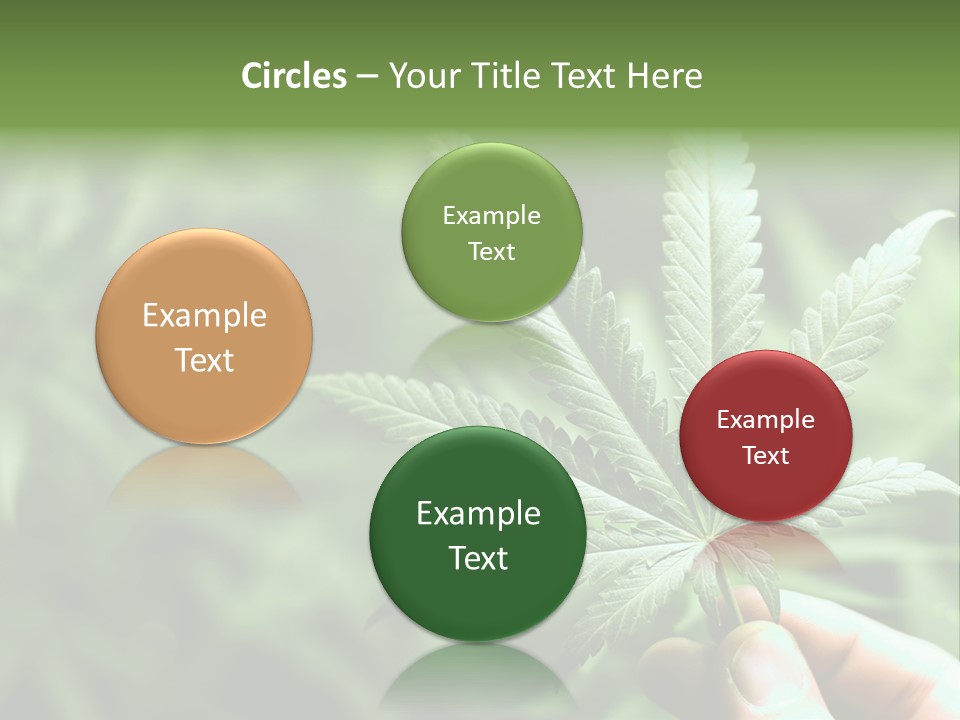 Herb Relax Sun PowerPoint Template