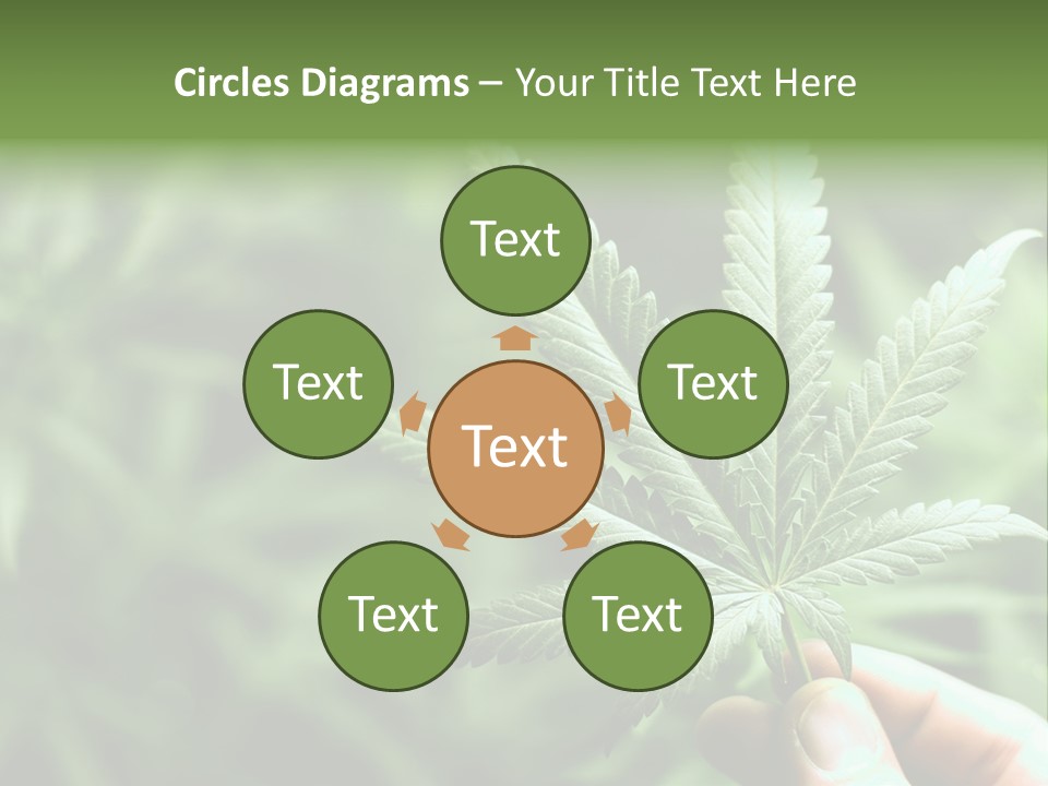 Herb Relax Sun PowerPoint Template