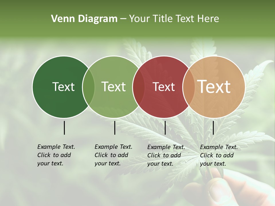 Herb Relax Sun PowerPoint Template