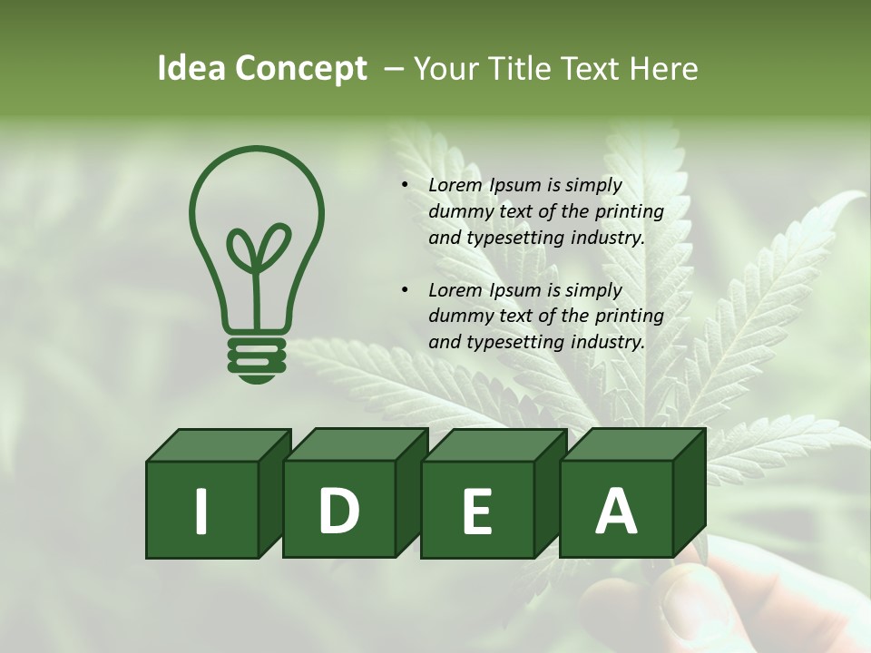 Herb Relax Sun PowerPoint Template
