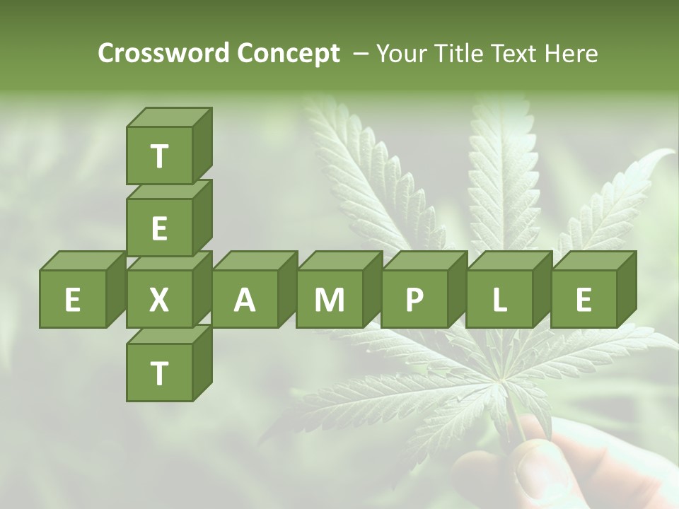 Herb Relax Sun PowerPoint Template