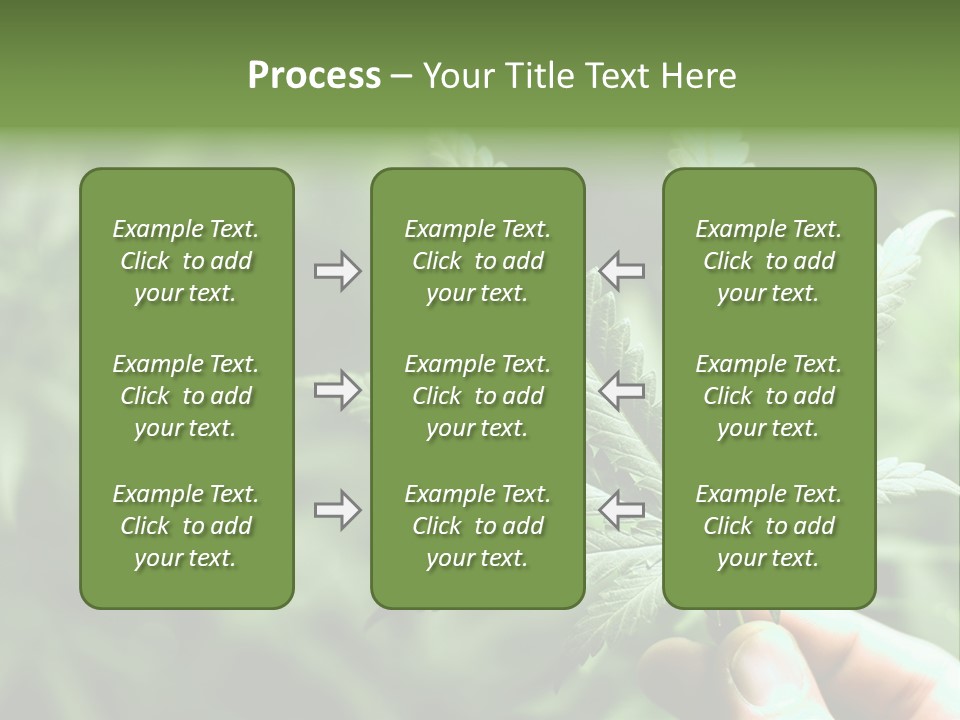 Herb Relax Sun PowerPoint Template