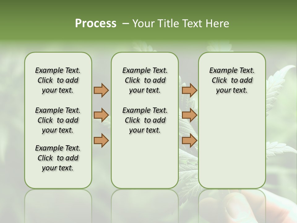 Herb Relax Sun PowerPoint Template