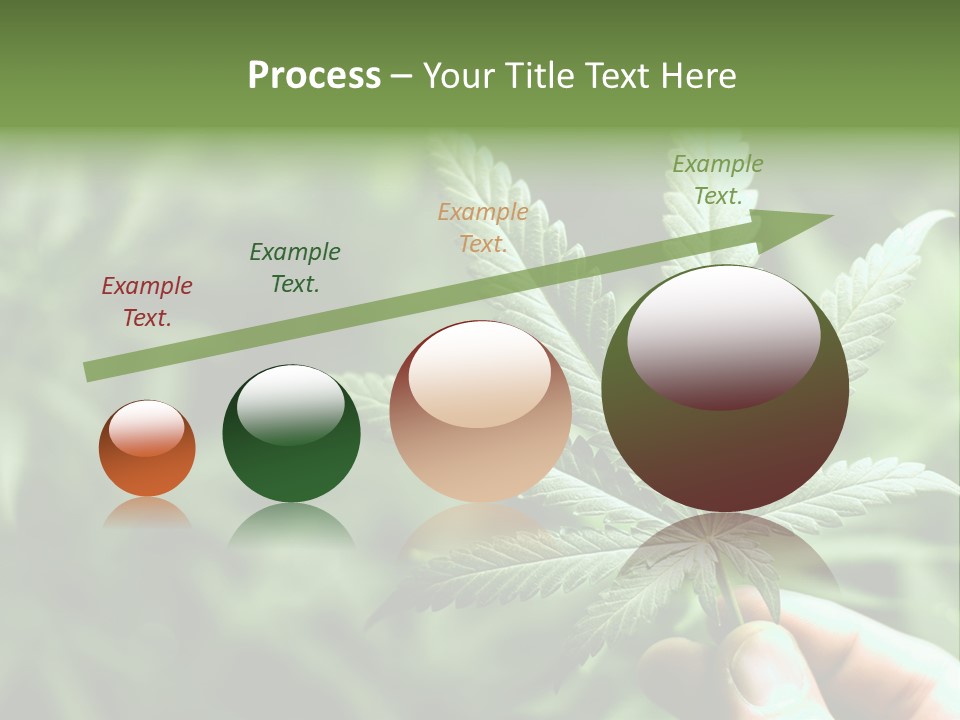 Herb Relax Sun PowerPoint Template