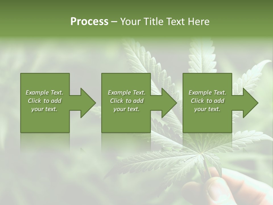 Herb Relax Sun PowerPoint Template