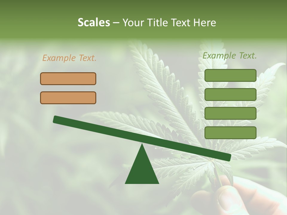 Herb Relax Sun PowerPoint Template